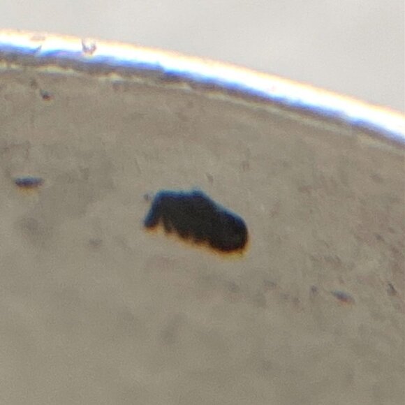 Solid Sterling Silver 925 Unisex Oval Dendritic Fern Agate Wide Band Ring Sz 8.5 - Picture 8 of 16